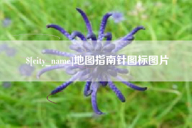 西双版纳地图指南针图标图片