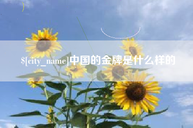 西双版纳中国的金牌是什么样的