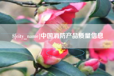 西双版纳中国消防产品质量信息
