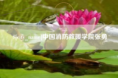西双版纳中国消防救援学院张勇