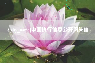 西双版纳中国执行信息公开网失信