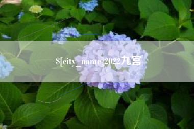西双版纳2022九宫