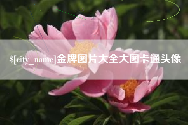西双版纳金牌图片大全大图卡通头像
