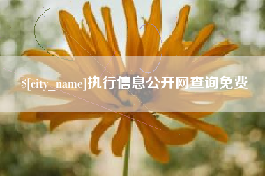 西双版纳执行信息公开网查询免费