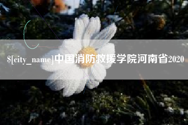西双版纳中国消防救援学院河南省2020